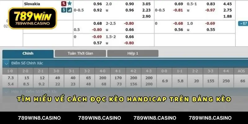Tìm hiểu về cách đọc kèo handicap trên bảng kèo